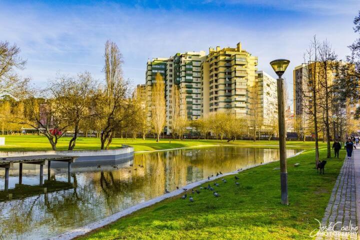 Green Executive Apartment In The Heart Of Лісабон Екстер'єр фото